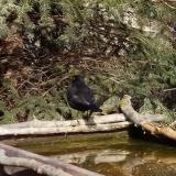 photo 2022-02-17 13-47-12 rigo