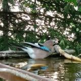 photo 2022-04-29 13-32-54 szajko