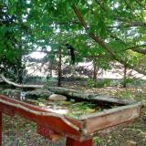 photo 2022-05-23 10-52-42