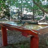 photo 2022-07-18 17-27-30