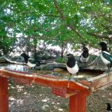 photo 2022-06-03 13-34-15