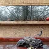 photo 2022-02-01 13-58-39