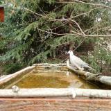 photo 2023-03-20 11-36-25