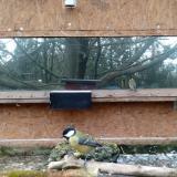 photo 2023-12-05 11-07-53