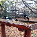 photo 2022-10-23 07-44-04