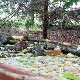 photo 2022-05-09 13-31-36 cinege