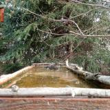 photo 2023-03-20 08-45-23