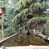 photo 2023-04-01 17-46-41