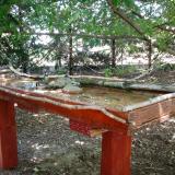 photo 2022-06-30 13-14-19