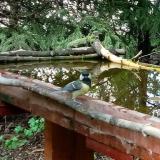 photo 2022-04-28 16-14-28 szcinke