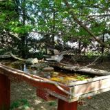 photo 2022-04-18 13-03-54