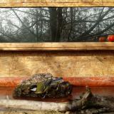 photo 2022-02-06 09-49-50