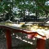 photo 2022-07-27 15-20-55