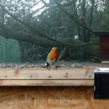 photo 2023-01-30 10-25-54