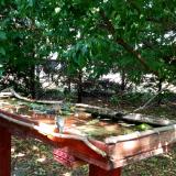 photo 2022-05-16 14-57-59