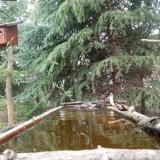 photo 2023-04-01 11-16-47