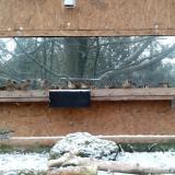 photo 2023-12-05 09-13-38