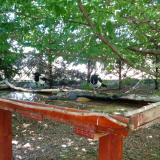 photo 2022-06-03 13-30-37