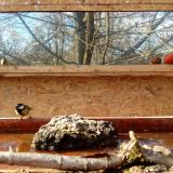 photo 2022-02-03 13-48-34