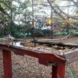 photo 2022-10-19 17-21-23