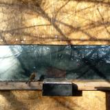 photo 2023-01-17 08-34-50