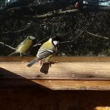 photo 2022-12-27 10-23-05