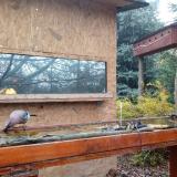 photo 2022-11-14 09-36-22