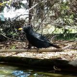 photo 2022-10-17 11-42-10 rigo