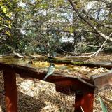 photo 2022-10-19 14-20-55