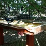 photo 2022-07-21 15-18-19