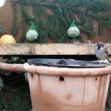 photo 2024-01-08 13-54-25