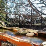 photo 2022-02-24 08-20-21