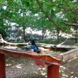 photo 2022-06-05 15-43-41