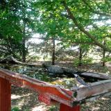 photo 2022-05-05 08-31-41