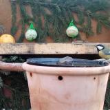 photo 2024-01-11 09-08-25