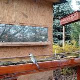 photo 2022-11-17 12-54-09