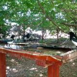 photo 2022-06-03 13-33-44