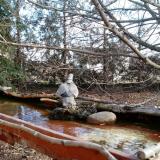 photo 2022-02-17 10-20-37