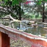 photo 2022-05-06 17-46-27 szencinege