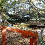 photo 2022-10-19 09-16-24