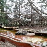 photo 2022-02-19 10-46-23