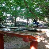 photo 2022-06-03 16-57-59