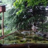 photo 2023-05-14 18-02-22