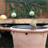 photo 2024-01-09 10-06-53