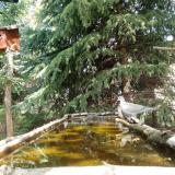 photo 2023-04-05 12-40-41