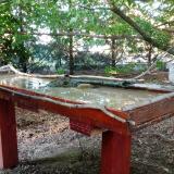 photo 2022-06-26 18-47-48