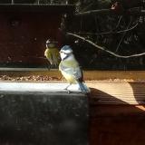 photo 2023-01-06 10-27-42