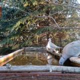 photo 2023-03-19 06-36-15