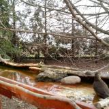 photo 2022-02-21 08-47-22