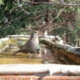 photo 2023-03-13 08-57-00